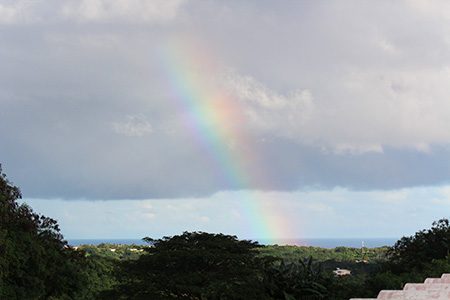 150123_rainbow.jpg